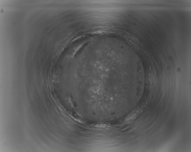 X0000056330751200508291252