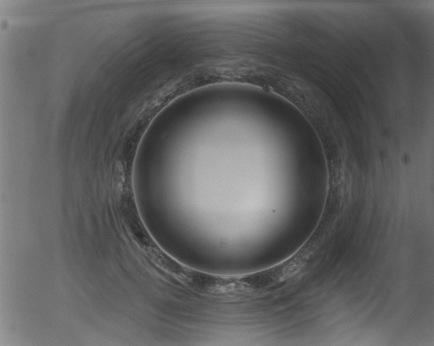 X0000056330752200508291252