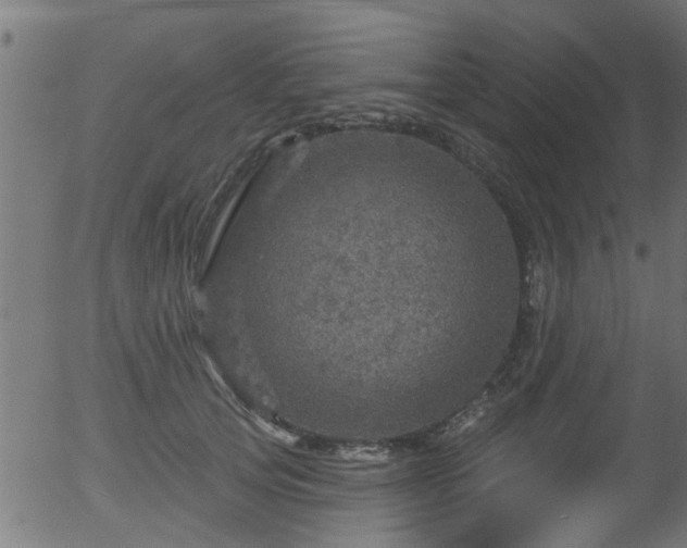 X0000056330753200508291252