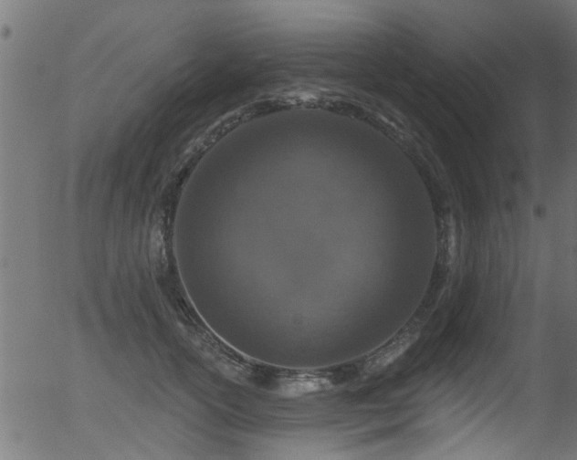 X0000056330754200508291252