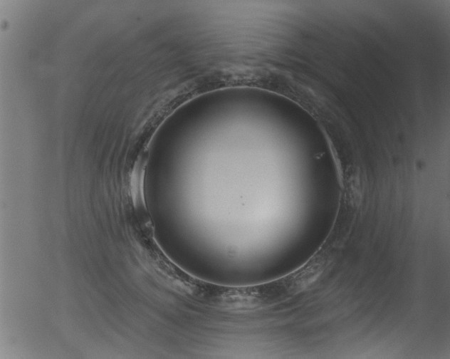 X0000056330756200508291252