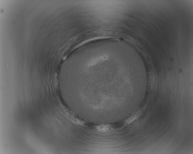 X0000056330761200508291252