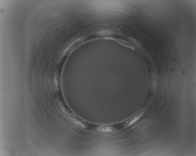 X0000056330762200508291252