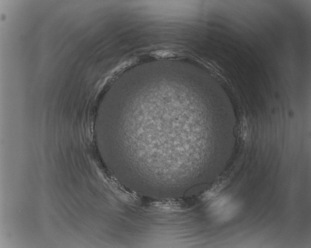 X0000056330763200508291252