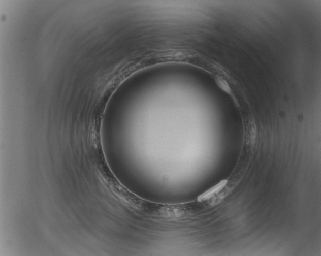 X0000056330764200508291252