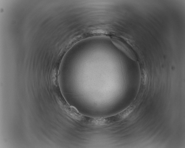 X0000056330767200508291252