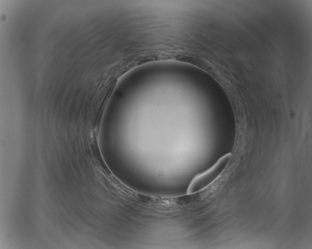 X0000056330768200508291252