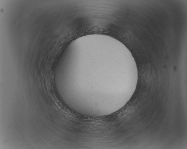 X0000056330769200508291251