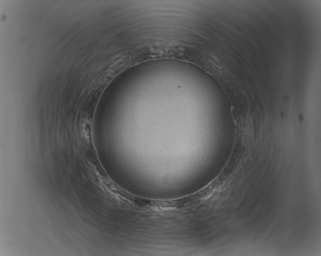 X0000056330770200508291251