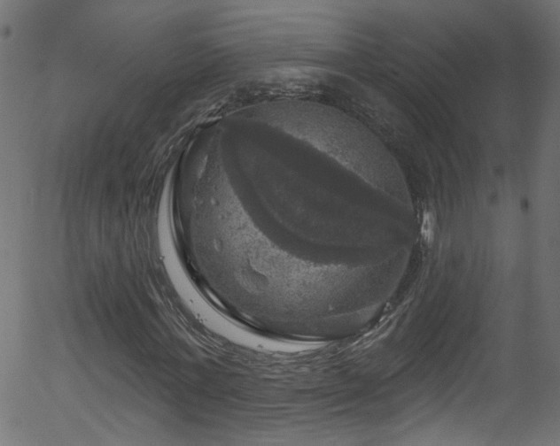 X0000056330771200508291251