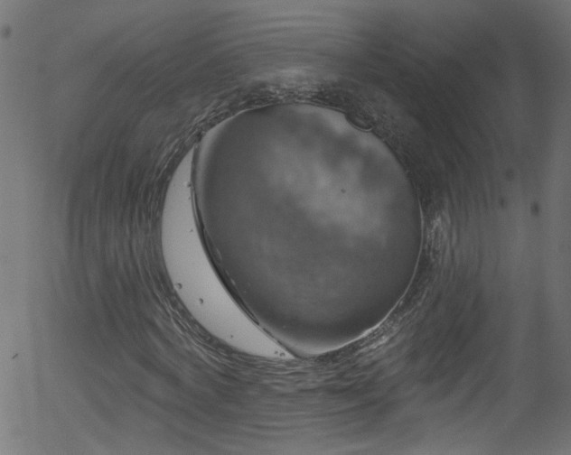 X0000056330772200508291251