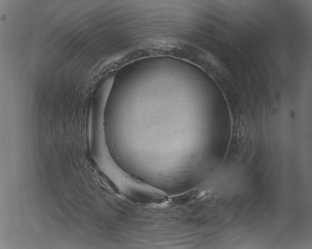 X0000056330773200508291251