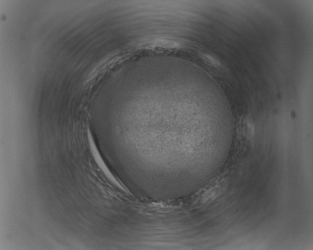 X0000056330774200508291251