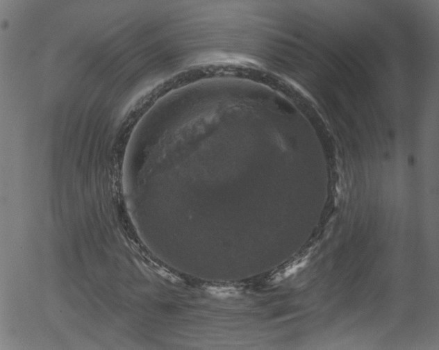 X0000056330775200508291251