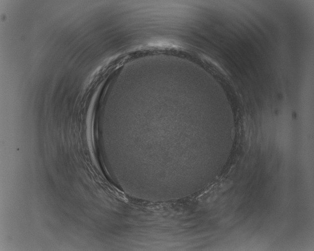 X0000056330776200508291251