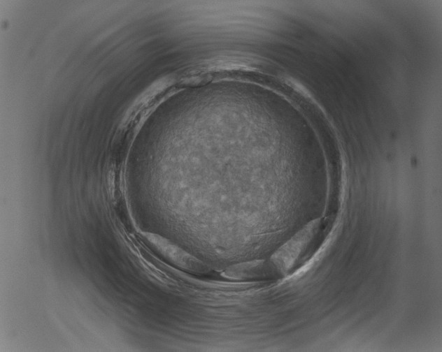 X0000056330777200508291251