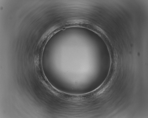 X0000056330778200508291251