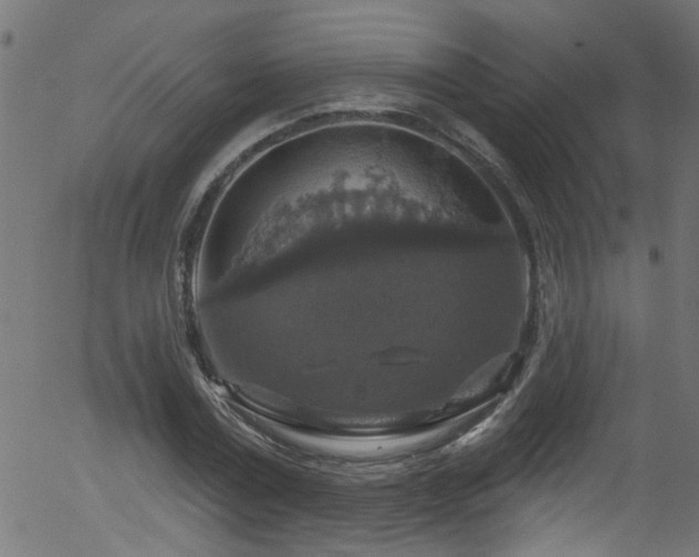 X0000056330779200508291251