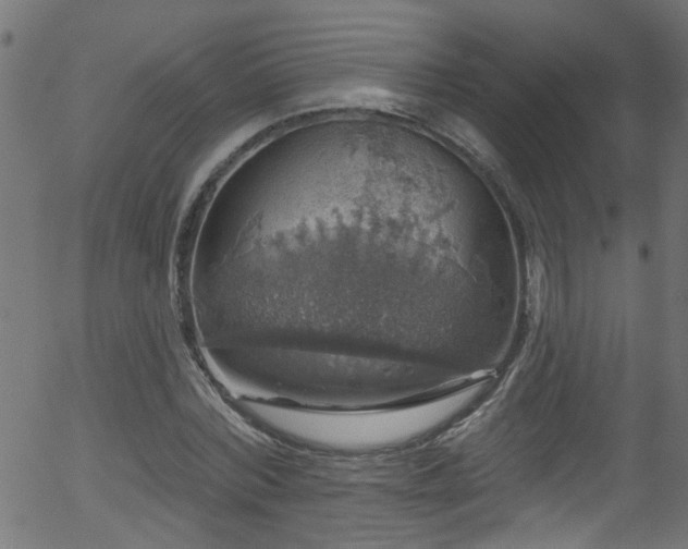 X0000056330780200508291251