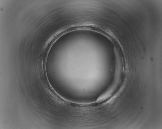 X0000056330781200508291251