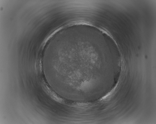 X0000056330782200508291251