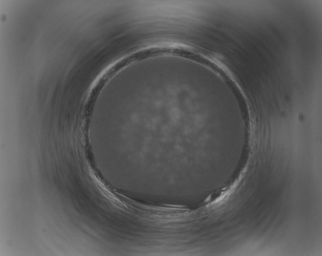 X0000056330783200508291251