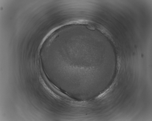 X0000056330784200508291251