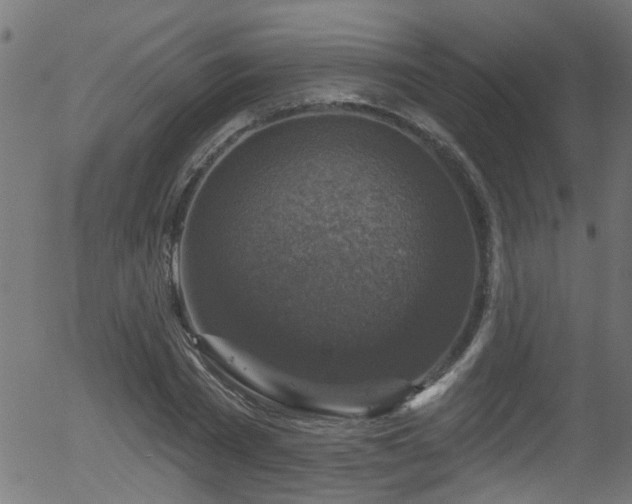 X0000056330785200508291251