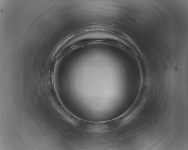 X0000056330786200508291251