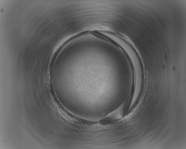 X0000056330787200508291251