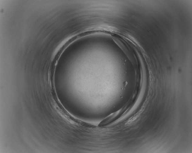 X0000056330788200508291251