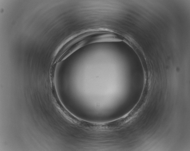 X0000056330789200508291251