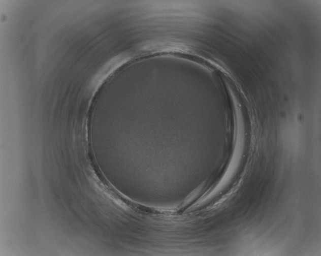 X0000056330790200508291251