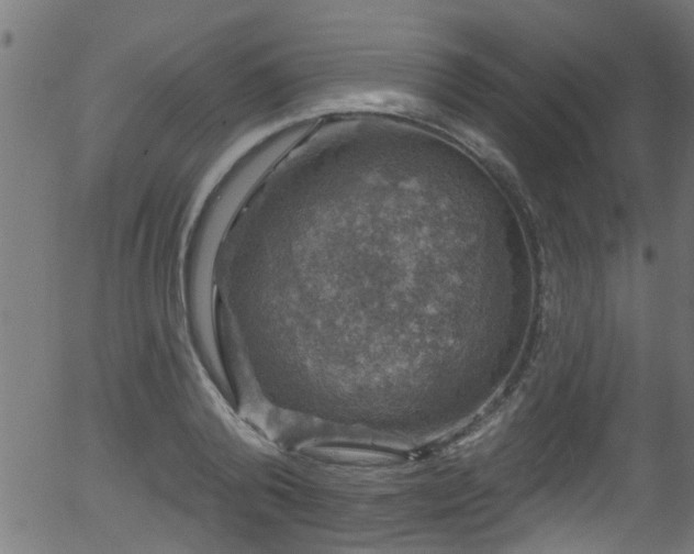 X0000056330792200508291251