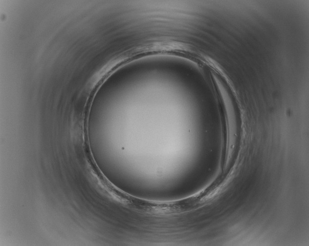 X0000056330794200508291251