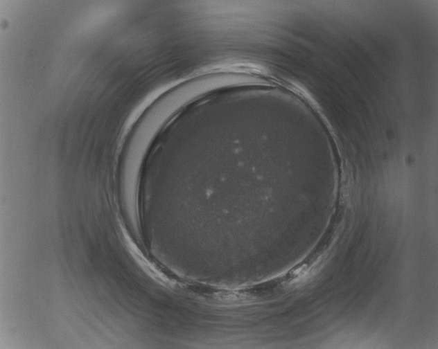 X0000056330795200508291251