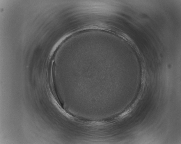 X0000056330796200508291251