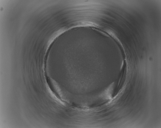 X0000056330797200508291251