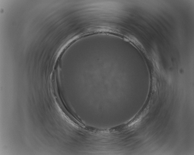 X0000056330798200508291251