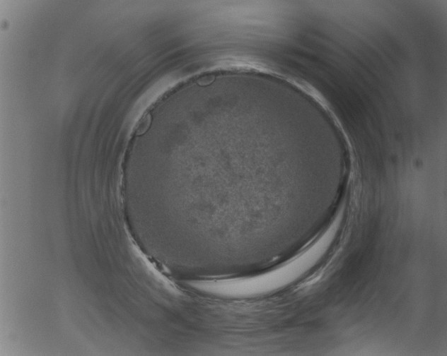 X0000056330799200508291251