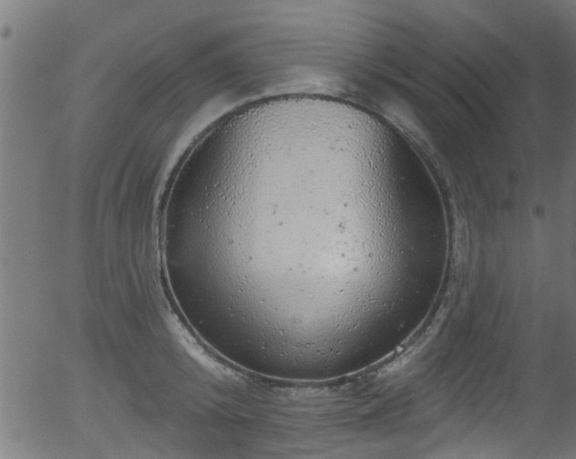 X0000056330800200508291251