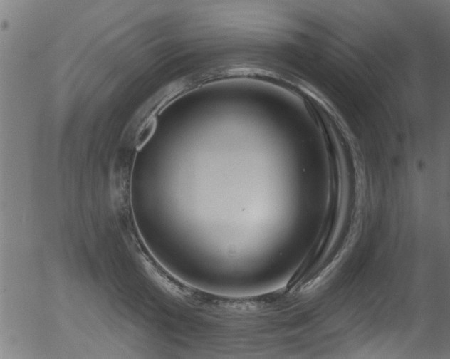 X0000056330801200508291251