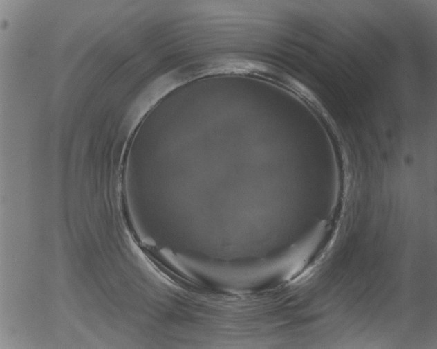 X0000056330802200508291250