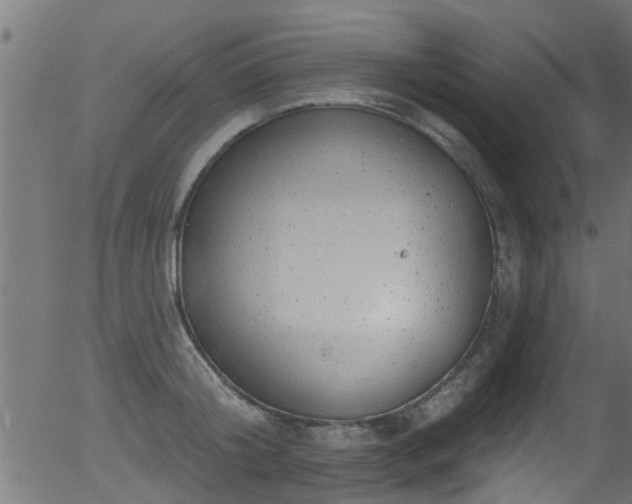 X0000056330804200508291250