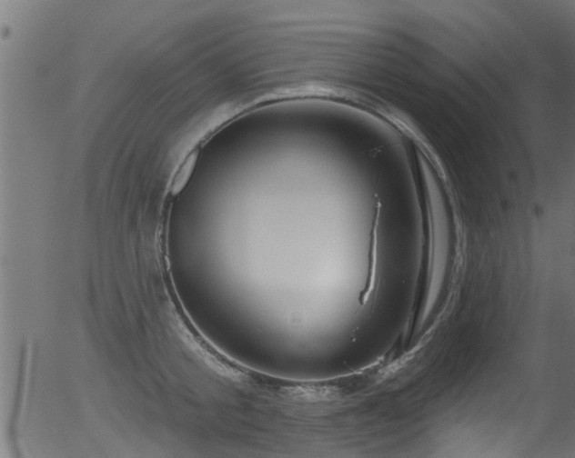 X0000056330805200508291250