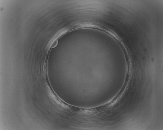 X0000056330806200508291250