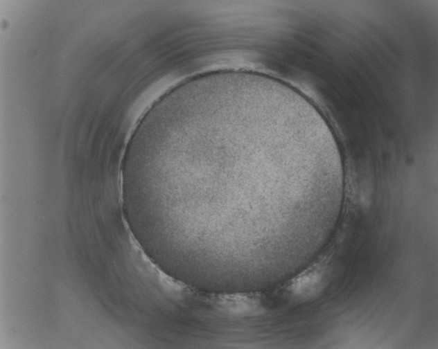 X0000056330807200508291250