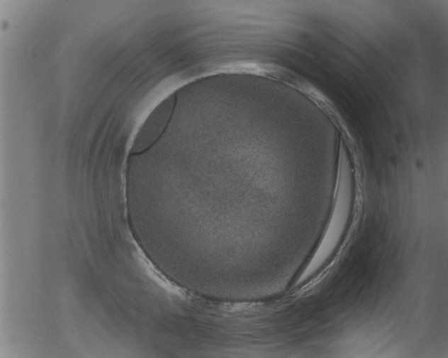 X0000056330808200508291250