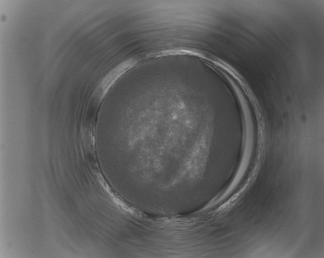 X0000056330809200508291250