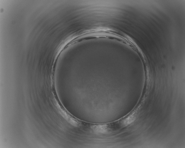 X0000056330810200508291250